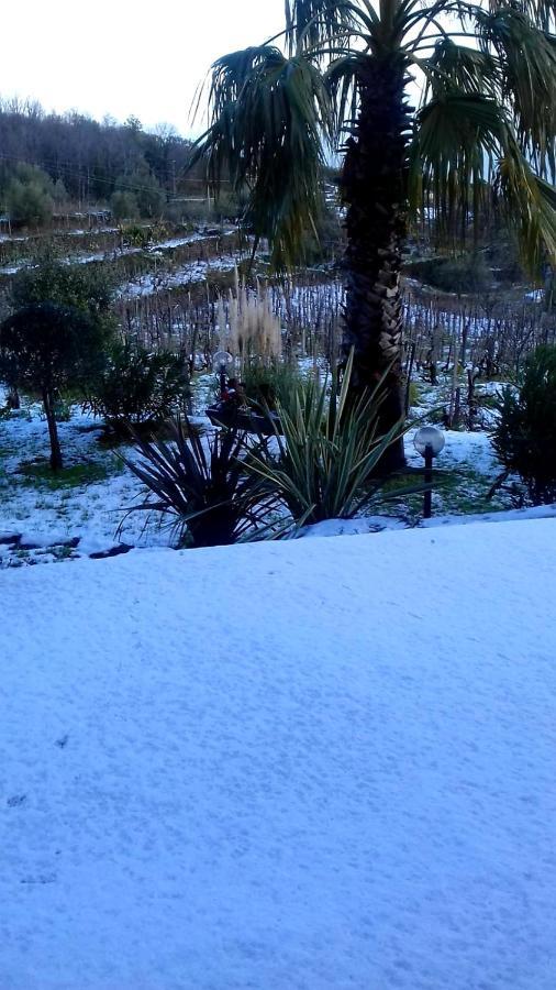 Villa Etna Masi' Milo Dış mekan fotoğraf