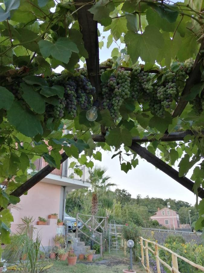 Villa Etna Masi' Milo Dış mekan fotoğraf