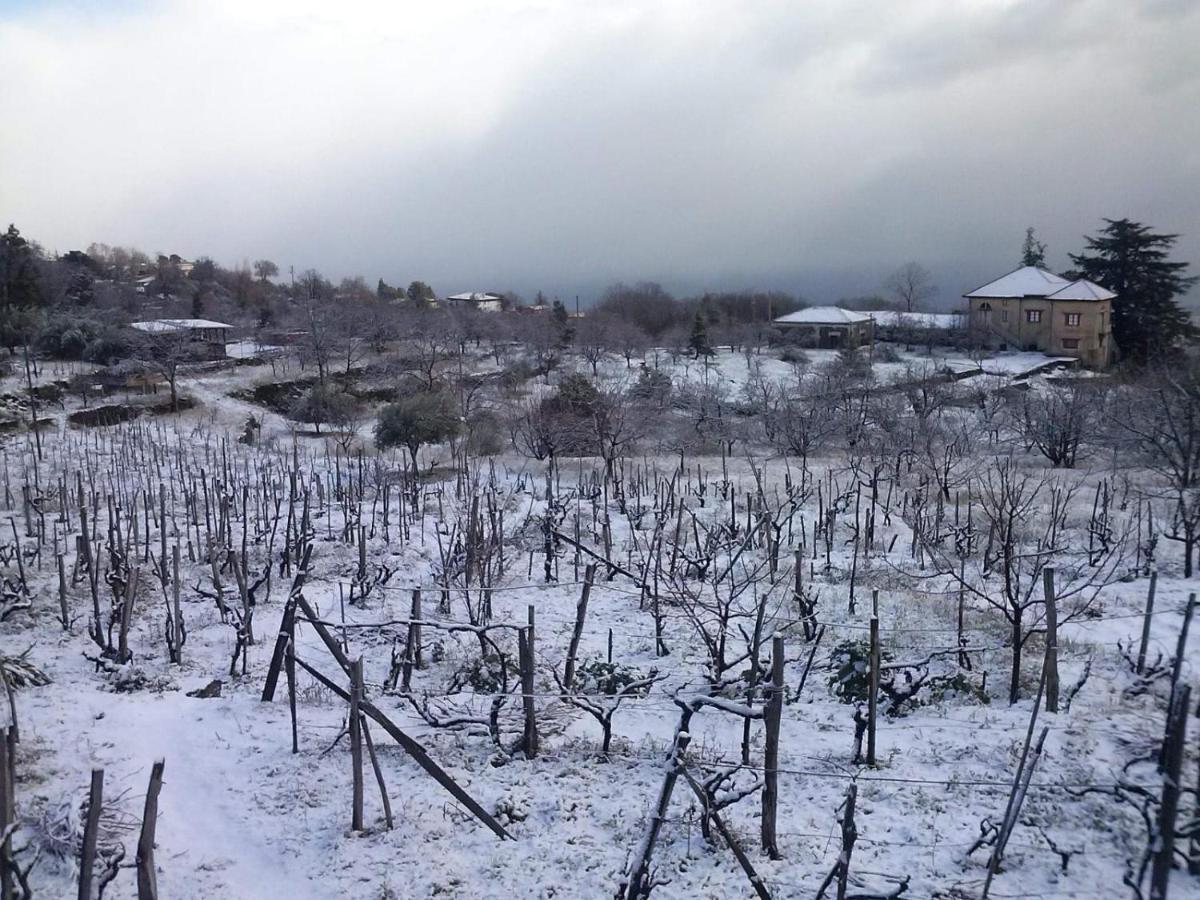 Villa Etna Masi' Milo Dış mekan fotoğraf