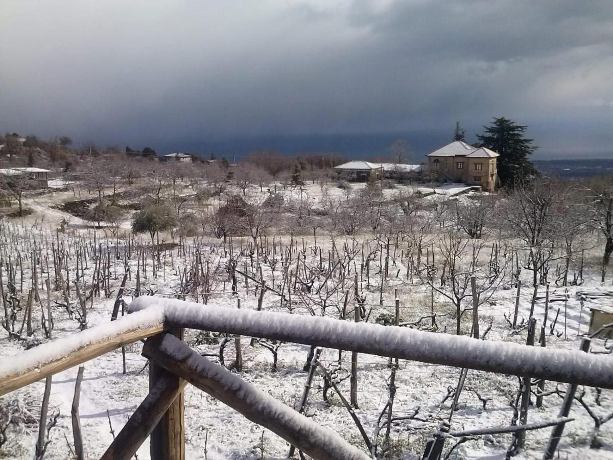 Villa Etna Masi' Milo Dış mekan fotoğraf