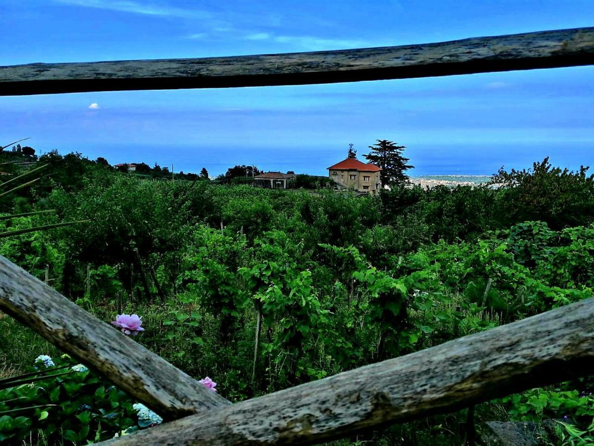 Villa Etna Masi' Milo Dış mekan fotoğraf