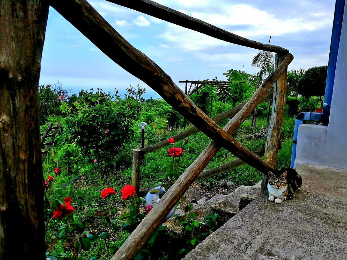 Villa Etna Masi' Milo Dış mekan fotoğraf